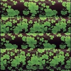 Transfer fólia - šťastie