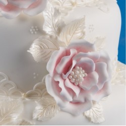 Patchwork šípová ruža