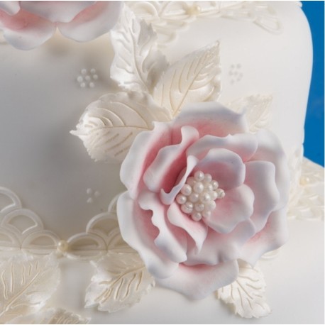 Patchwork šípová ruža