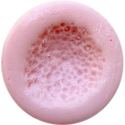 Silikónová forma gerbera stred