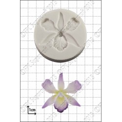 Orchidea A004