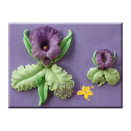 Silik. forma orchidea GSA0024