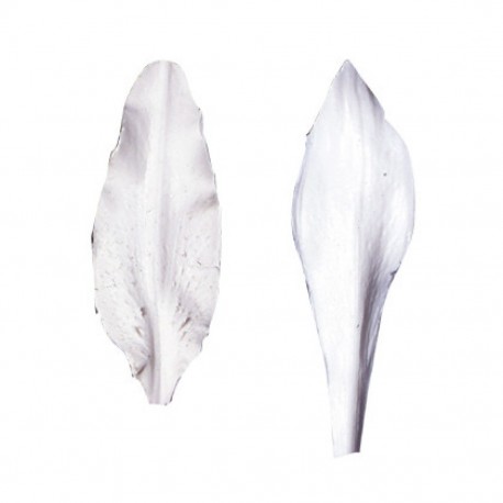 Silikónová forma Lily SK