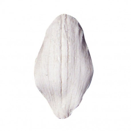 Silikónová forma Orchid petal