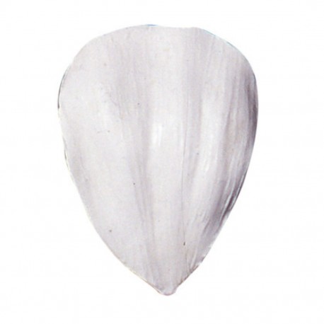 Silikónová forma žilkovacia pivonka M