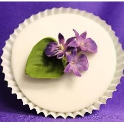 Vykrajovačka na fialku C