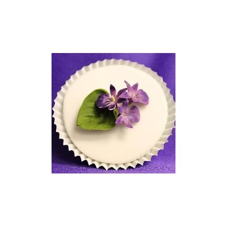 Vykrajovačka na fialku C